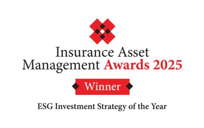 ESG Investment Strategy of the Year - 2025